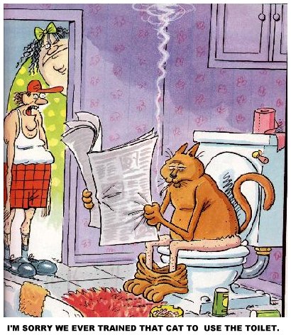 e_cat_occupies_toilet.jpg (80087 bytes)