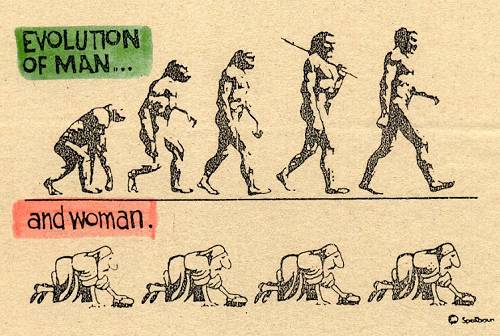 evolution.jpg (41735 bytes)